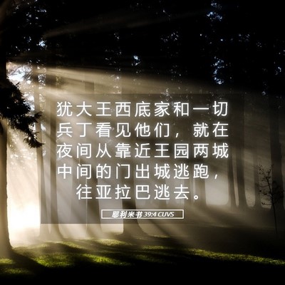 Picture 05 - 耶 利 米 书 39:4 CUVS - 犹 大 王 西 底 家 和 一 切 兵 丁 看 - Bible Verse Picture