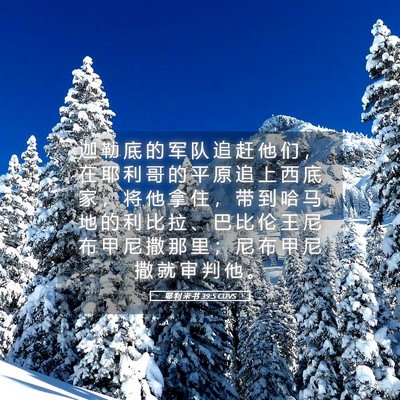 Picture 05 - 耶 利 米 书 39:5 CUVS - 迦 勒 底 的 军 队 追 赶 他 们 ， 在 - Bible Verse Picture
