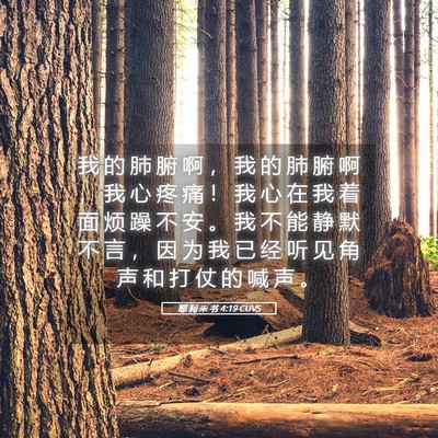 Picture 05 - 耶 利 米 书 4:19 CUVS - 我 的 肺 腑 啊 ， 我 的 肺 腑 啊 ， - Bible Verse Picture