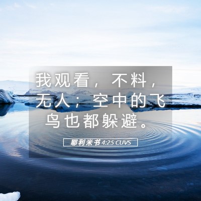 Picture 05 - 耶 利 米 书 4:25 CUVS - 我 观 看 ， 不 料 ， 无 人 ； 空 中 - Bible Verse Picture