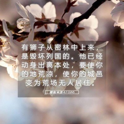 Picture 05 - 耶 利 米 书 4:7 CUVS - 有 狮 子 从 密 林 中 上 来 ， 是 毁 - Bible Verse Picture