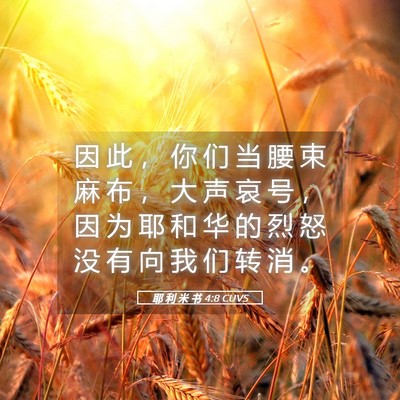 Picture 05 - 耶 利 米 书 4:8 CUVS - 因 此 ， 你 们 当 腰 束 麻 布 ， 大 - Bible Verse Picture