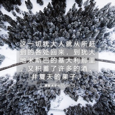 Picture 05 - 耶 利 米 书 40:12 CUVS - 这 一 切 犹 大 人 就 从 所 赶 到 的 - Bible Verse Picture
