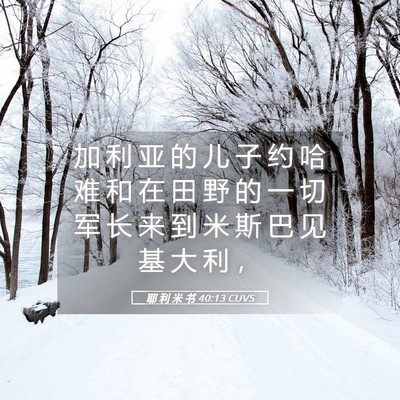 Picture 05 - 耶 利 米 书 40:13 CUVS - 加 利 亚 的 儿 子 约 哈 难 和 在 田 - Bible Verse Picture