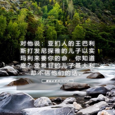 Picture 05 - 耶 利 米 书 40:14 CUVS - 对 他 说 ： 亚 扪 人 的 王 巴 利 斯 - Bible Verse Picture