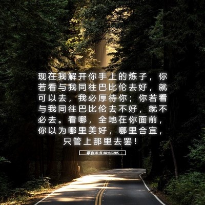 Picture 05 - 耶 利 米 书 40:4 CUVS - 现 在 我 解 开 你 手 上 的 炼 子 ， - Bible Verse Picture