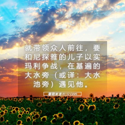 Picture 05 - 耶 利 米 书 41:12 CUVS - 就 带 领 众 人 前 往 ， 要 和 尼 探 - Bible Verse Picture