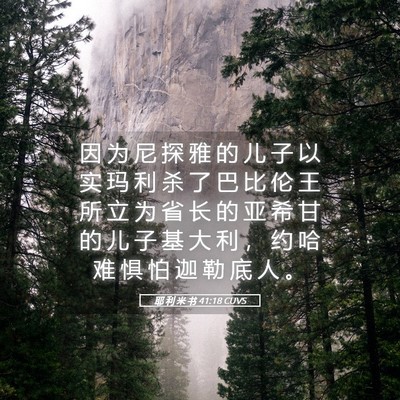 Picture 05 - 耶 利 米 书 41:18 CUVS - 因 为 尼 探 雅 的 儿 子 以 实 玛 利 - Bible Verse Picture