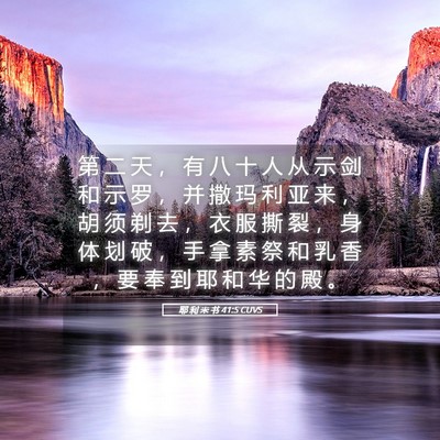 Picture 05 - 耶 利 米 书 41:5 CUVS - 第 二 天 ， 有 八 十 人 从 示 剑 和 - Bible Verse Picture