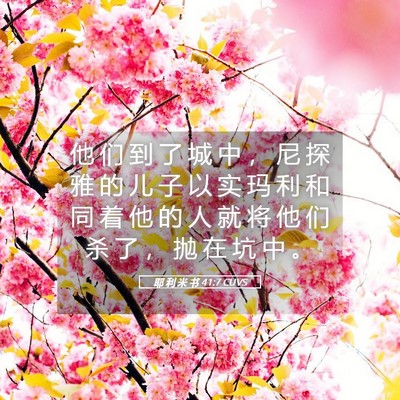 Picture 05 - 耶 利 米 书 41:7 CUVS - 他 们 到 了 城 中 ， 尼 探 雅 的 儿 - Bible Verse Picture