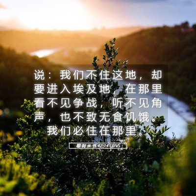 Picture 05 - 耶 利 米 书 42:14 CUVS - 说 ： 我 们 不 住 这 地 ， 却 要 进 - Bible Verse Picture