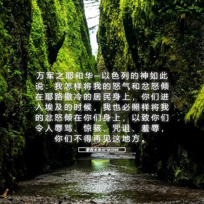 Picture 05 - 耶 利 米 书 42:18 CUVS - 万 军 之 耶 和 华 ─ 以 色 列 的 神 - Bible Verse Picture