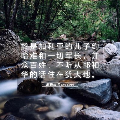 Picture 05 - 耶 利 米 书 43:4 CUVS - 於 是 加 利 亚 的 儿 子 约 哈 难 和 - Bible Verse Picture