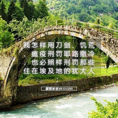 Picture 05 - 耶 利 米 书 44:13 CUVS - 我 怎 样 用 刀 剑 、 饥 荒 、 瘟 疫 - Bible Verse Picture