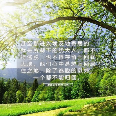 Picture 05 - 耶 利 米 书 44:14 CUVS - 甚 至 那 进 入 埃 及 地 寄 居 的 ， - Bible Verse Picture
