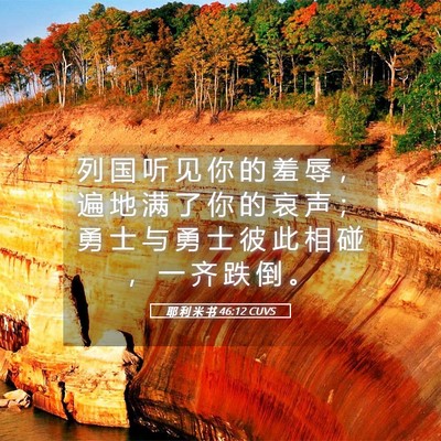 Picture 05 - 耶 利 米 书 46:12 CUVS - 列 国 听 见 你 的 羞 辱 ， 遍 地 满 - Bible Verse Picture