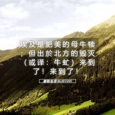 Picture 05 - 耶 利 米 书 46:20 CUVS - 埃 及 是 肥 美 的 母 牛 犊 ； 但 出 - Bible Verse Picture