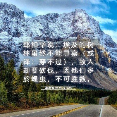 Picture 05 - 耶 利 米 书 46:23 CUVS - 耶 和 华 说 ： 埃 及 的 树 林 虽 然 - Bible Verse Picture