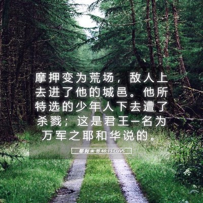 Picture 05 - 耶 利 米 书 48:15 CUVS - 摩 押 变 为 荒 场 ， 敌 人 上 去 进 - Bible Verse Picture