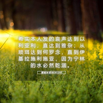 Picture 05 - 耶 利 米 书 48:34 CUVS - 希 实 本 人 发 的 哀 声 达 到 以 利 - Bible Verse Picture