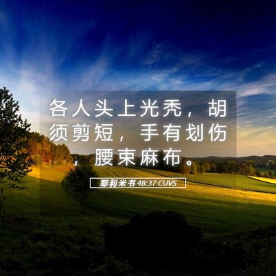 Picture 05 - 耶 利 米 书 48:37 CUVS - 各 人 头 上 光 秃 ， 胡 须 剪 短 ， - Bible Verse Picture