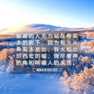 Picture 05 - 耶 利 米 书 48:45 CUVS - 躲 避 的 人 无 力 站 在 希 实 本 的 - Bible Verse Picture