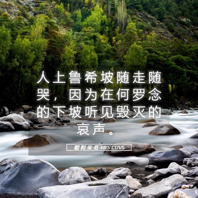 Picture 05 - 耶 利 米 书 48:5 CUVS - 人 上 鲁 希 坡 随 走 随 哭 ， 因 为 - Bible Verse Picture