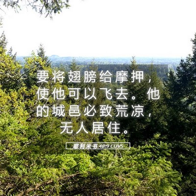 Picture 05 - 耶 利 米 书 48:9 CUVS - 要 将 翅 膀 给 摩 押 ， 使 他 可 以 - Bible Verse Picture
