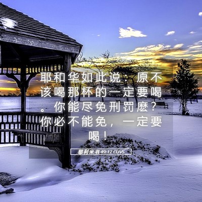 Picture 05 - 耶 利 米 书 49:12 CUVS - 耶 和 华 如 此 说 ： 原 不 该 喝 那 - Bible Verse Picture