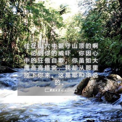 Picture 05 - 耶 利 米 书 49:16 CUVS - 住 在 山 穴 中 据 守 山 顶 的 啊 ， - Bible Verse Picture