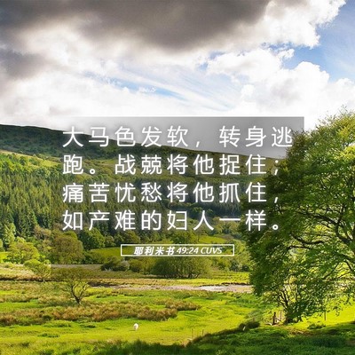 Picture 05 - 耶 利 米 书 49:24 CUVS - 大 马 色 发 软 ， 转 身 逃 跑 。 战 - Bible Verse Picture