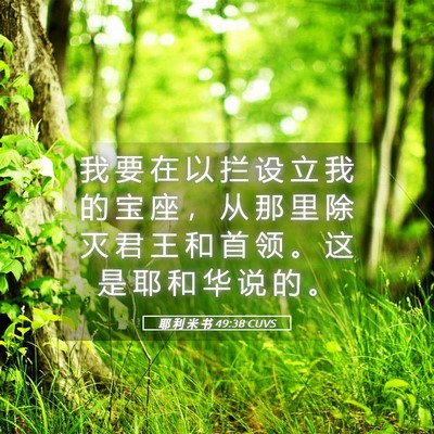 Picture 05 - 耶 利 米 书 49:38 CUVS - 我 要 在 以 拦 设 立 我 的 宝 座 ， - Bible Verse Picture