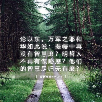 Picture 05 - 耶 利 米 书 49:7 CUVS - 论 以 东 。 万 军 之 耶 和 华 如 此 - Bible Verse Picture