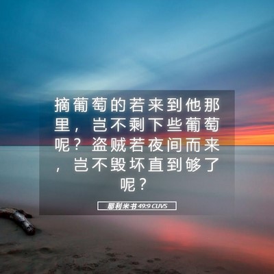 Picture 05 - 耶 利 米 书 49:9 CUVS - 摘 葡 萄 的 若 来 到 他 那 里 ， 岂 - Bible Verse Picture