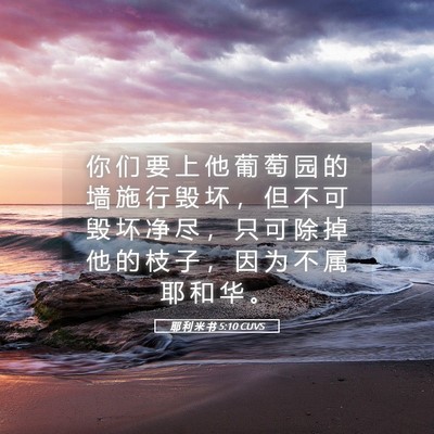 Picture 05 - 耶 利 米 书 5:10 CUVS - 你 们 要 上 他 葡 萄 园 的 墙 施 行 - Bible Verse Picture