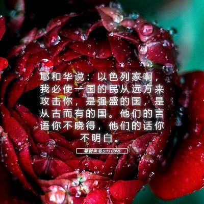Picture 05 - 耶 利 米 书 5:15 CUVS - 耶 和 华 说 ： 以 色 列 家 啊 ， 我 - Bible Verse Picture