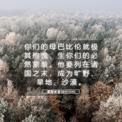 Picture 05 - 耶 利 米 书 50:12 CUVS - 你 们 的 母 巴 比 伦 就 极 其 抱 愧 - Bible Verse Picture
