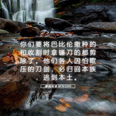 Picture 05 - 耶 利 米 书 50:16 CUVS - 你 们 要 将 巴 比 伦 撒 种 的 和 收 - Bible Verse Picture