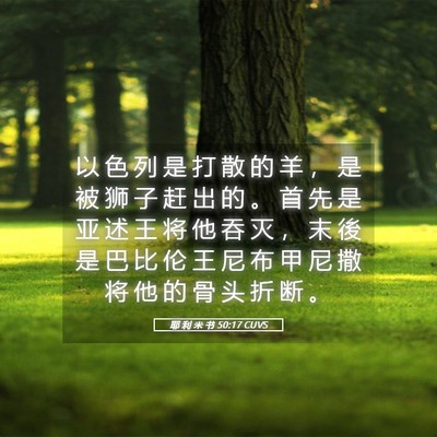 Picture 05 - 耶 利 米 书 50:17 CUVS - 以 色 列 是 打 散 的 羊 ， 是 被 狮 - Bible Verse Picture