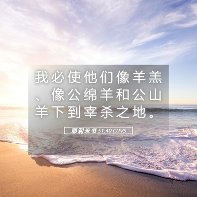 Picture 05 - 耶 利 米 书 51:40 CUVS - 我 必 使 他 们 像 羊 羔 、 像 公 绵 - Bible Verse Picture