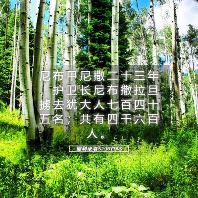 Picture 05 - 耶 利 米 书 52:30 CUVS - 尼 布 甲 尼 撒 二 十 三 年 ， 护 卫 - Bible Verse Picture
