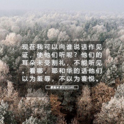 Picture 05 - 耶 利 米 书 6:10 CUVS - 现 在 我 可 以 向 谁 说 话 作 见 证 - Bible Verse Picture