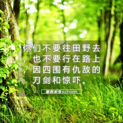Picture 05 - 耶 利 米 书 6:25 CUVS - 你 们 不 要 往 田 野 去 ， 也 不 要 - Bible Verse Picture