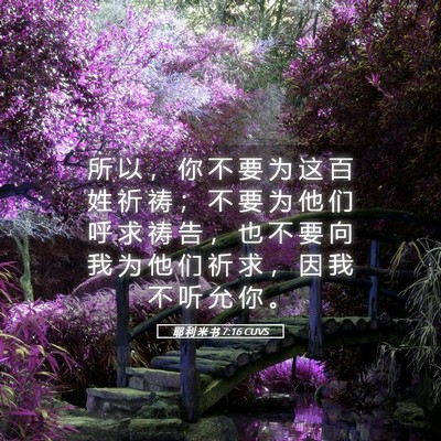 Picture 05 - 耶 利 米 书 7:16 CUVS - 所 以 ， 你 不 要 为 这 百 姓 祈 祷 - Bible Verse Picture