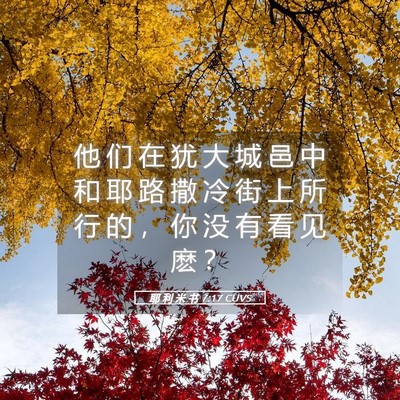 Picture 05 - 耶 利 米 书 7:17 CUVS - 他 们 在 犹 大 城 邑 中 和 耶 路 撒 - Bible Verse Picture
