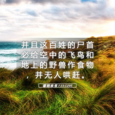 Picture 05 - 耶 利 米 书 7:33 CUVS - 并 且 这 百 姓 的 尸 首 必 给 空 中 - Bible Verse Picture