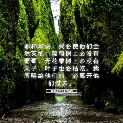 Picture 05 - 耶 利 米 书 8:13 CUVS - 耶 和 华 说 ： 我 必 使 他 们 全 然 - Bible Verse Picture