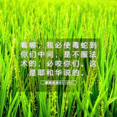 Picture 05 - 耶 利 米 书 8:17 CUVS - 看 哪 ， 我 必 使 毒 蛇 到 你 们 中 - Bible Verse Picture