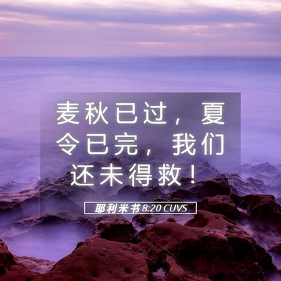 Picture 05 - 耶 利 米 书 8:20 CUVS - 麦 秋 已 过 ， 夏 令 已 完 ， 我 们 - Bible Verse Picture