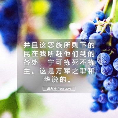 Picture 05 - 耶 利 米 书 8:3 CUVS - 并 且 这 恶 族 所 剩 下 的 民 在 我 - Bible Verse Picture